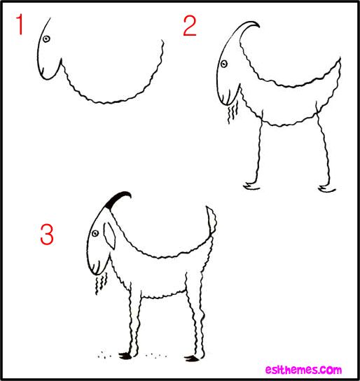 how to draw goat how to draw goats american fainting goat organization danica gabi pinterest fainting goat goats and organizations