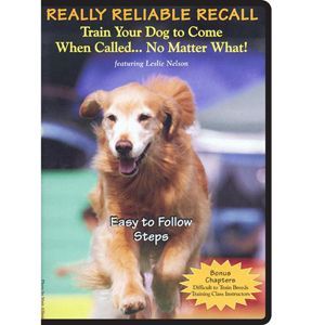Really Reliable Recall Dvd Training Your Dog Dog Training Dogs