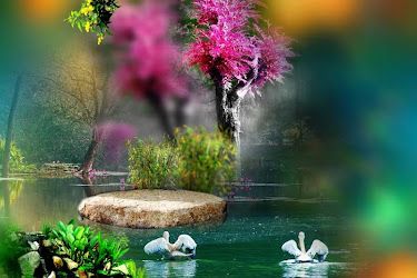 Weeeding Background Pack For Photoshop Free Downloade Vol-4 - Swaroop Creation | Premium Software and Tools.