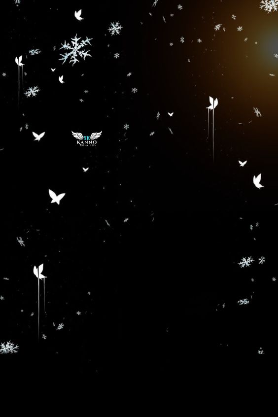 Butterfly Creative PNG