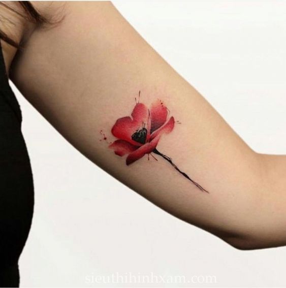 Hình-xÄm-hoa-mini-hình-xÄm-nhá»-cho-bạn-nữ-mini-flower-tattoo--tattoo-tân-bình-xÄm-nghê-thuáºt-tân-bình (273)