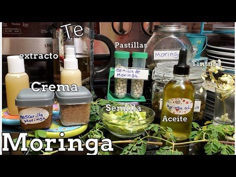 Como Hacer Aceite De Moringa Te Crema Pastillas Usos Y Propiedades Youtube Moringa Aceite De Aguacate Beneficios Aceite