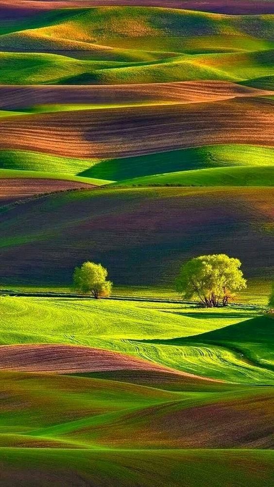 Download Free Android Wallpaper Nature - 4790 - MobileSMSPK.net