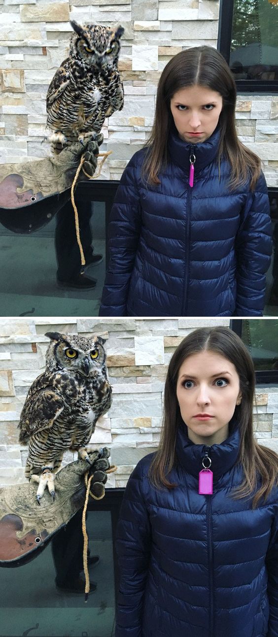 Cute-Animals-Posing-Photos-Anna-Kendrick