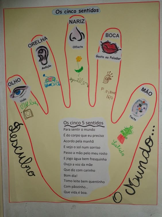 Através da história " João e os 5 sentidos ", apresentada em power point, motivamos as crianças para a sua descoberta... Fizeram o reg...