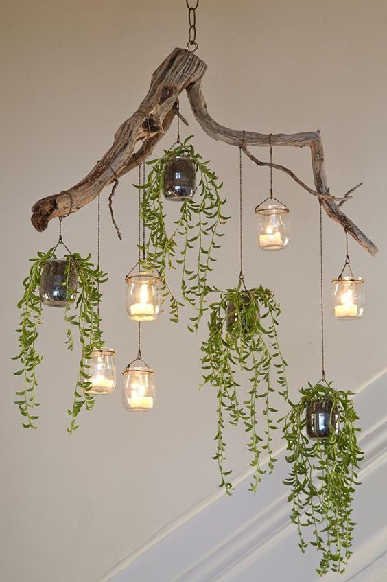Plantas suspensas: ideias de decoração com plantas pendentes