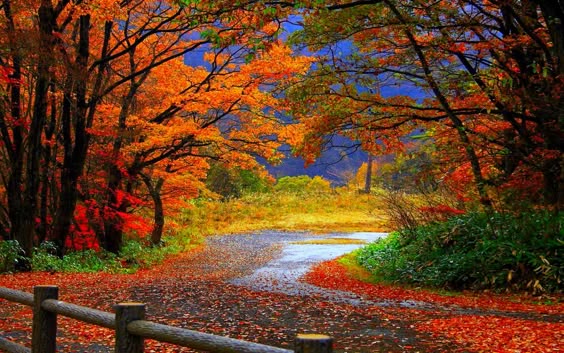 hd-wallpapers-1080p-download-for-pc