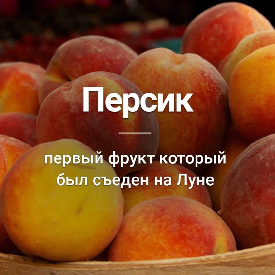 факти-бг