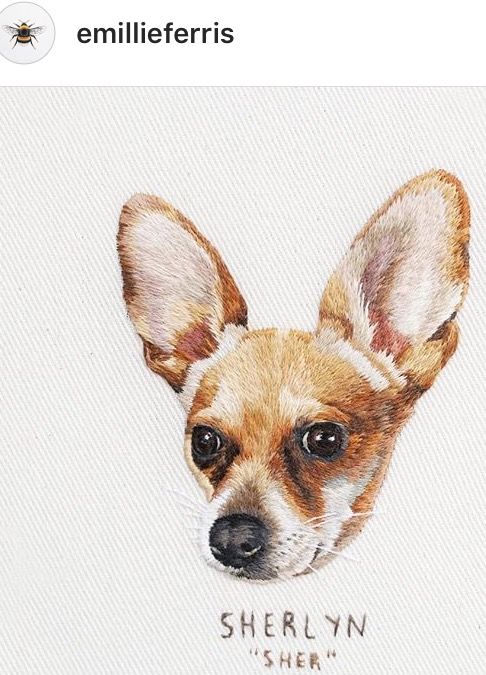 CHIHUAHUA U CHOOSE SET OF 2 HAND TOWELS EMBROIDERED