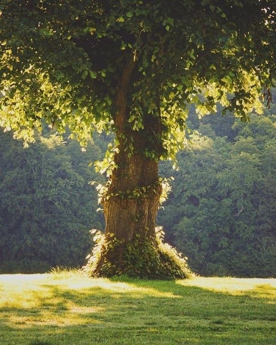 scenery