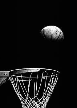 Fact of the Day: August 3rd, 1949- The NBA was born. #NBA #basketball #factoftheday