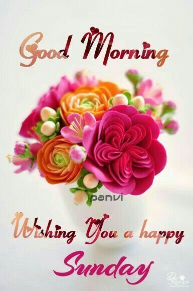happy-sunday