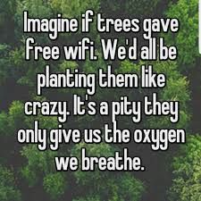 trees wifi meme - Google Search