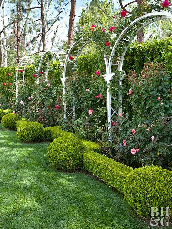 Arched Garden Trellis Arch Arches Garden Trellis Arch, Garden Trellises And Arches
