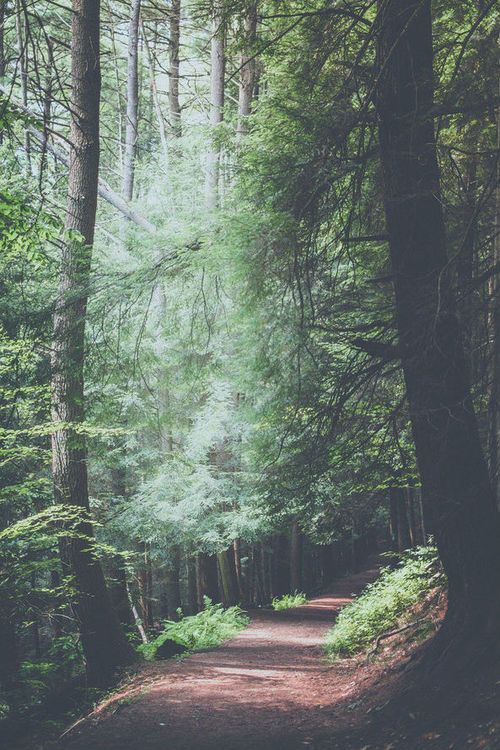 Viver Um Sonho.