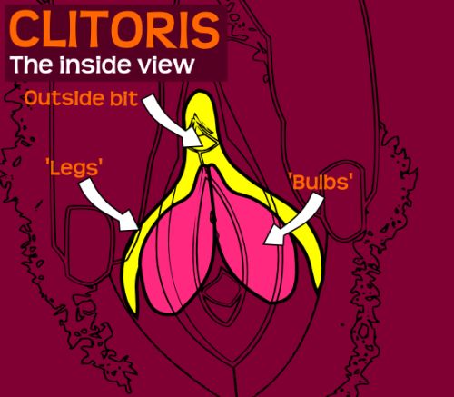Free ooops wrong hole porn Throat gang bang