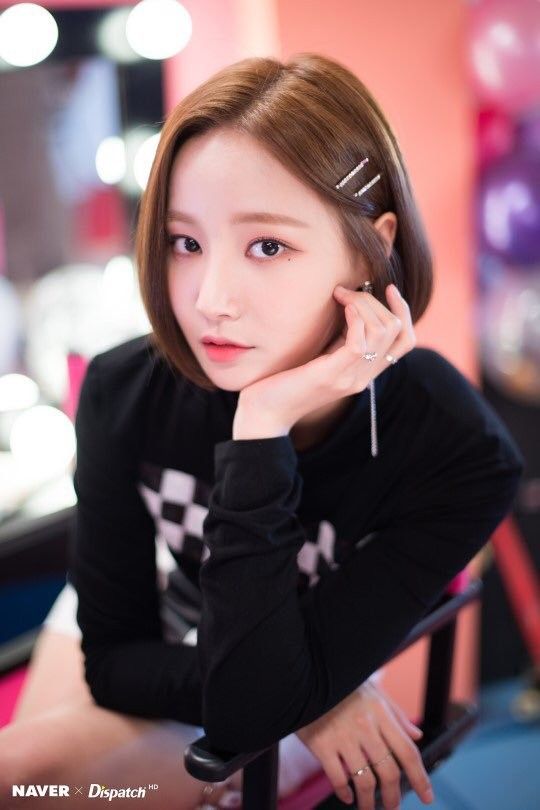最高可愛い Naver 最高の動物画像 最高可愛い Naver 最高の動物画像