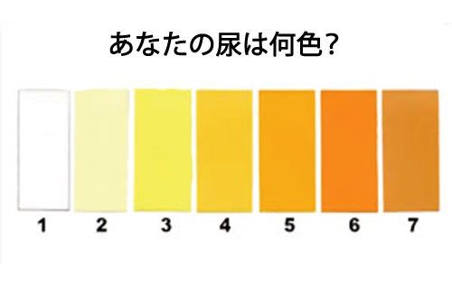 尿で健康状態がわかる 8つのタイプの尿 みんな健康 2020 健康 尿 わかる