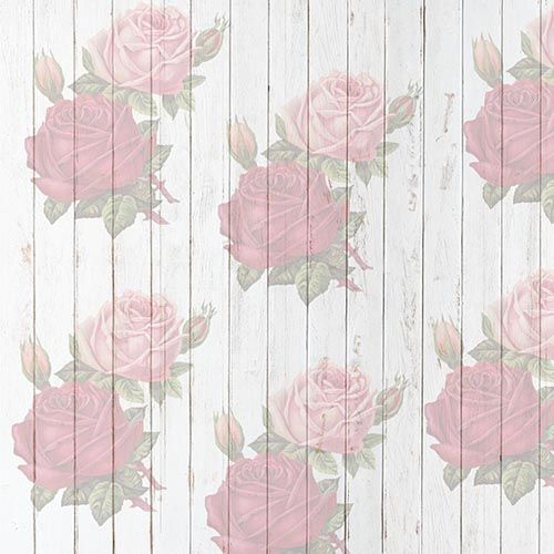 Succulent Digital Paper Succulent Patterns commercial Echeveria Succulent Paper Digital Background -Botanic Papers -Cactus Scrapbook