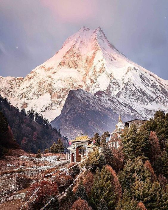 Manaslu is enchantingly beautiful. Anyone who loves the outdoors should have it in the bucket lists. We spent 14 days on the trail trekking around this majestic mountain and climbing a 6,000-meter Larkya Peak. 📍 Manaslu Conservation 📸 @nepalmountainguides #nepal #manaslu #mountains #sanjibtrekguide #nepalplanettreks #discovernepal #trekking #himalayas #manaslucircuit #adventure #mountain #nature #himalaya #alps #larkela #trekkingnepal #instatravel #photo #phototravel #photography #travelblog