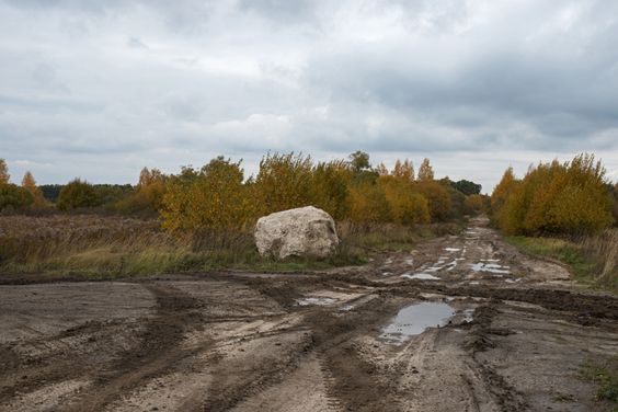 ÐÑÑаика | Colta.ru