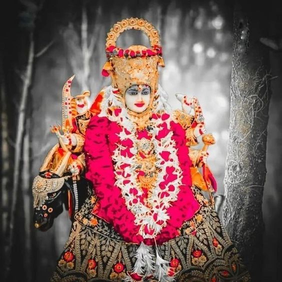 MELDI SARKAR 🙏🙏