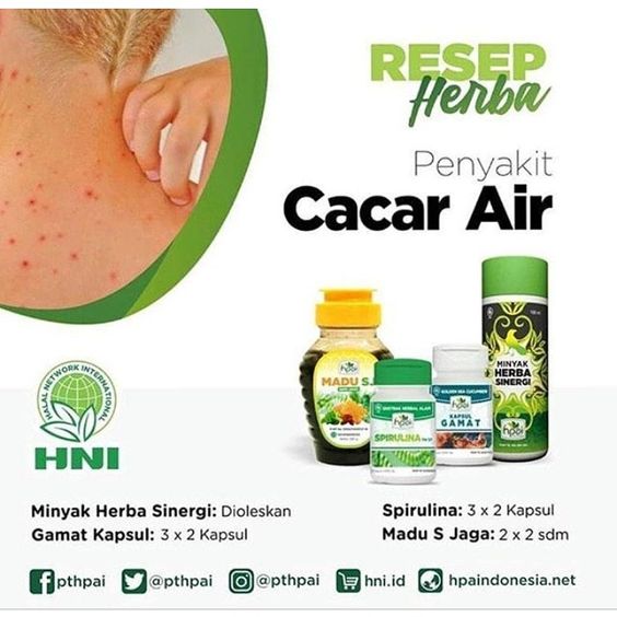 Obat Penghilang Bekas Luka Cacar Air Yang Ampuh Dan Mujarab Serta Paling Banyak Dicari Saat Ini Adalah Jelly Gamat Gold G Obat Herbal A Obat Herbal
