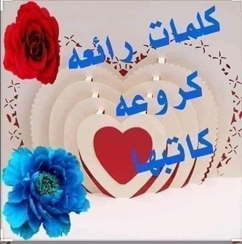 Pin By نهر الجمال On تعليقات وردود فيس بوك Morning Love Quotes Bird Photography Arabic Love Quotes