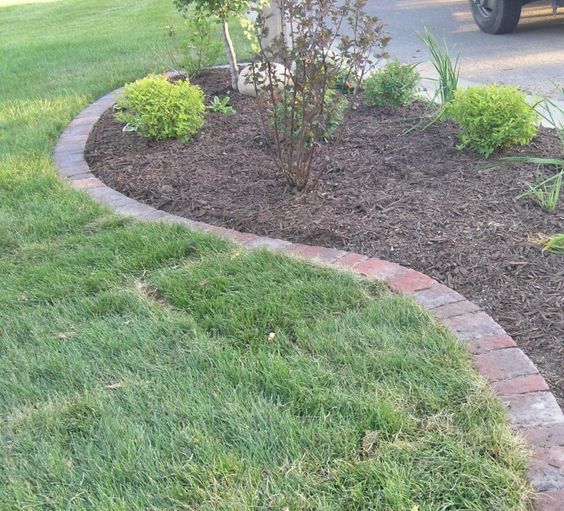 Pin On Garden Ideas
