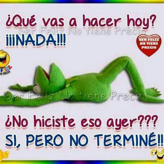 Que vas hacer hoy?