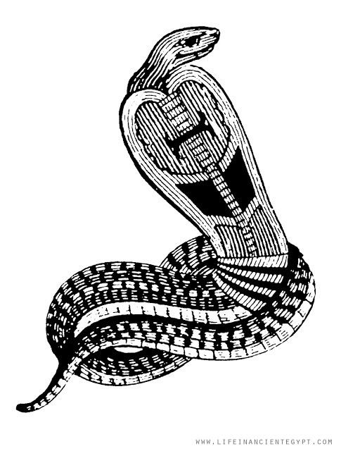 11+ Egyptian snake ideas in 2021