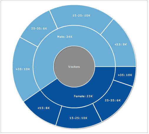 Multi-level demographics data on a multi-level pie chart - electrical pie chart Multi-level demographics data on a multi-level pie chart - electrical pie chart