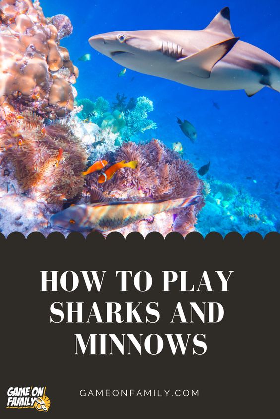 Do you know the rules of the classic #playground game called Sharks and Minnows? There are a few versions of this game but the #tutorial below is our favorite. A wonderfully active game that entails lots of exercise, Sharks and Minnows will get your #kids and #family running or swimming faster than you thought possible. I also like how this game develops kids’ hand eye coordination and quick thinking. strategic skills. #games #gameonfamily #sharksandminnows