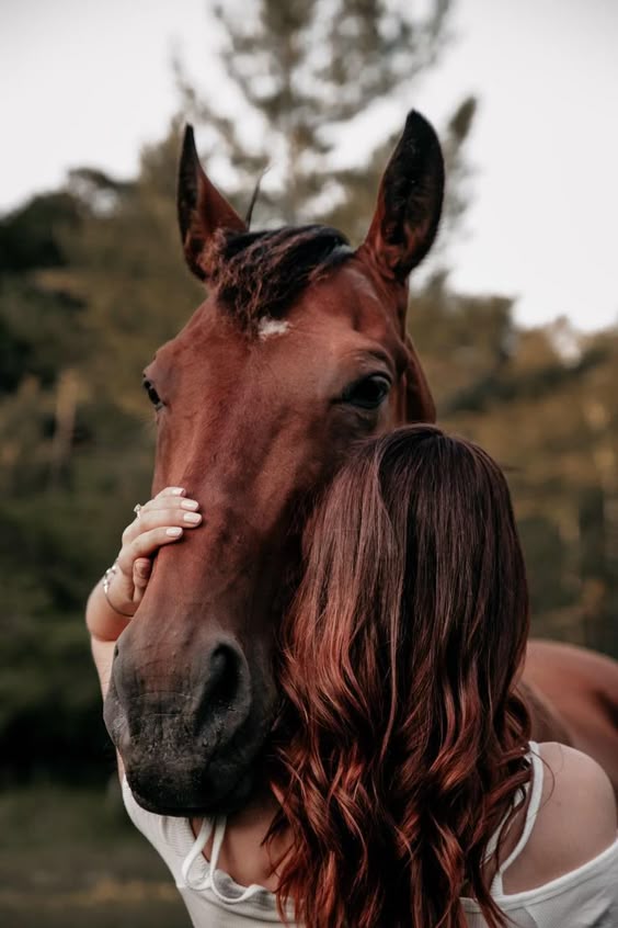 Horse photography | ontario photographer | Equine photography, Senior horse photography, Equine photography poses
