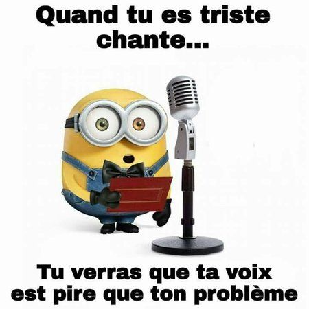 Les Minions - Expressions | textes | phrases - La Carterie Flavie