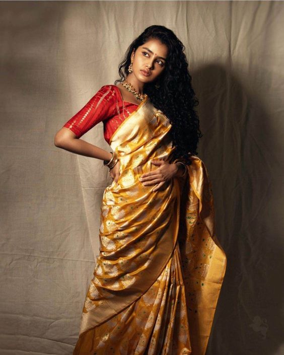 anupama parameswaran in mustard saree by label souravdas 2