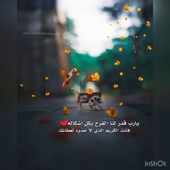 ثمانية تجري على الناس كلهم ولا بد للإنسان يلقى الثمانية سرور وحزن وإجتماع وفرقة ويسر وعسر ثم سقم وعافية Wise Words Quotes Islamic Phrases Book Qoutes