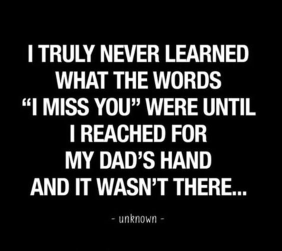 15+ Beautiful Quotes About Missing Your Father