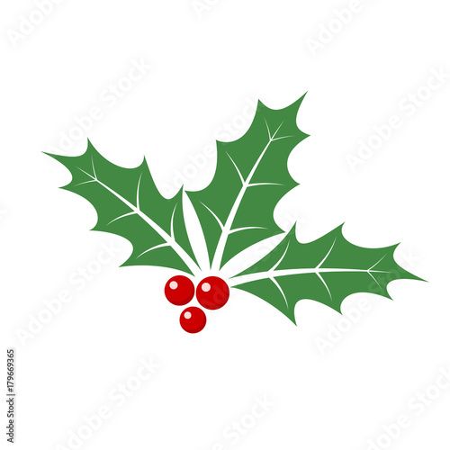 Stock Image: Christmas holly berry leaves. Vector illustration.