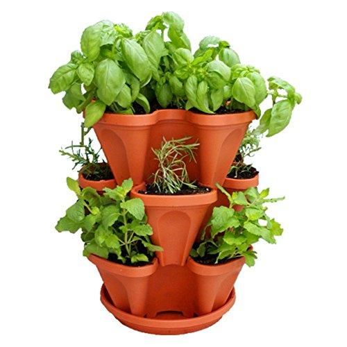 Amazoncom 3 Tier Stackable Garden - Indoor Outdoor Vertical Planter Set - Self Watering Tiers Indoor Herb Garden Herb Garden Planter Self Watering Planter