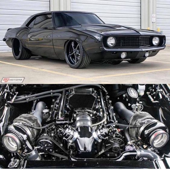 GM-muscle