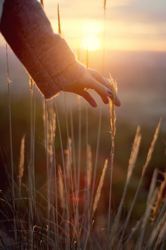 Light, hand, touch, and sunset. by Nacho Zàitsev / 500px