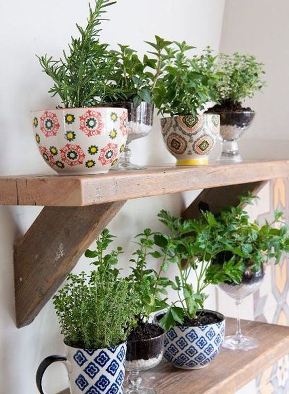 old kitchen items as an indoor planters #gardenIdeas #garden #gardening #plants #homeDecor #indoor #shelves