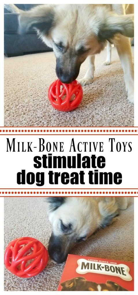 Milk Bone Active Toys Stimulate Dog Treat Time Dogs Cats