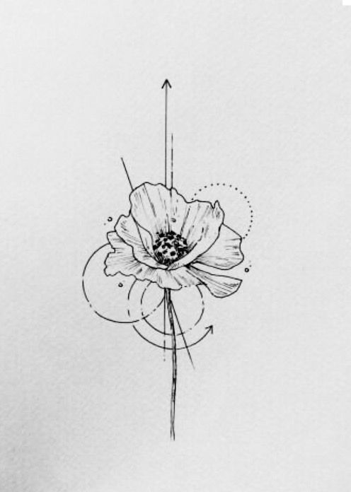 Mohnblume Mohnblume Watercolor Flowers Paintings Watercolor Poppies Watercolor Techniques