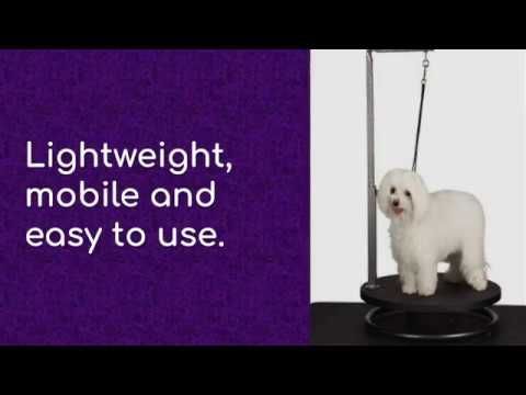 Pin On Top 10 Best Dog Hair Dryers In 2020 Reviews
