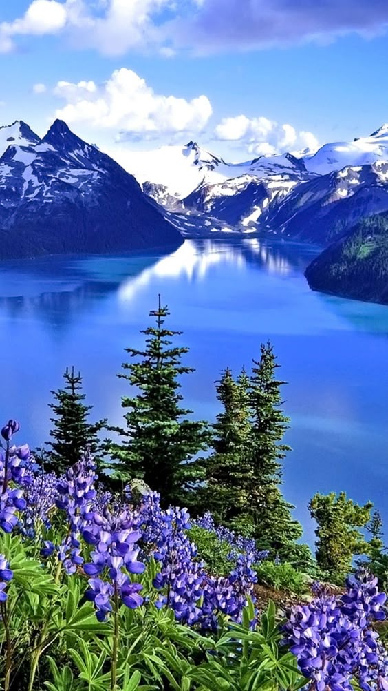 PAISAJES NSTURALEZA