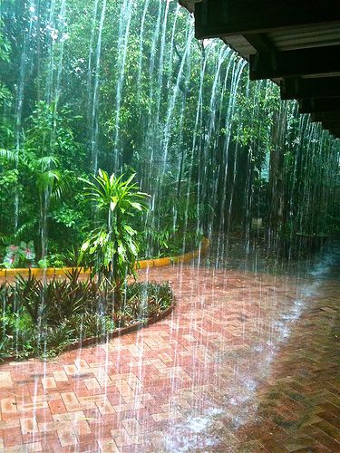 Monsoon shower in Rapid Creek The view from a friend\'s terrace in Rapid Creek, Darwin, location of a New Year\'s Eve recovery barbie on New Year\'s Day.