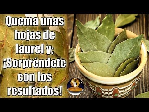 Para que sirve quemar hojas de laurel