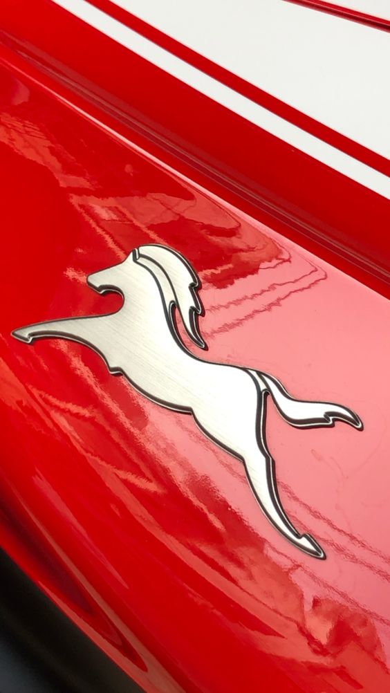 TVS Apache RR 310 LOGO (HD)